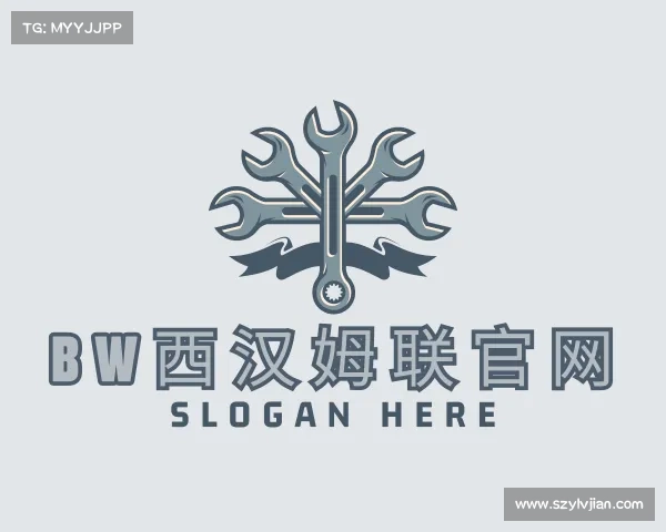 了解bw西汉姆联官网